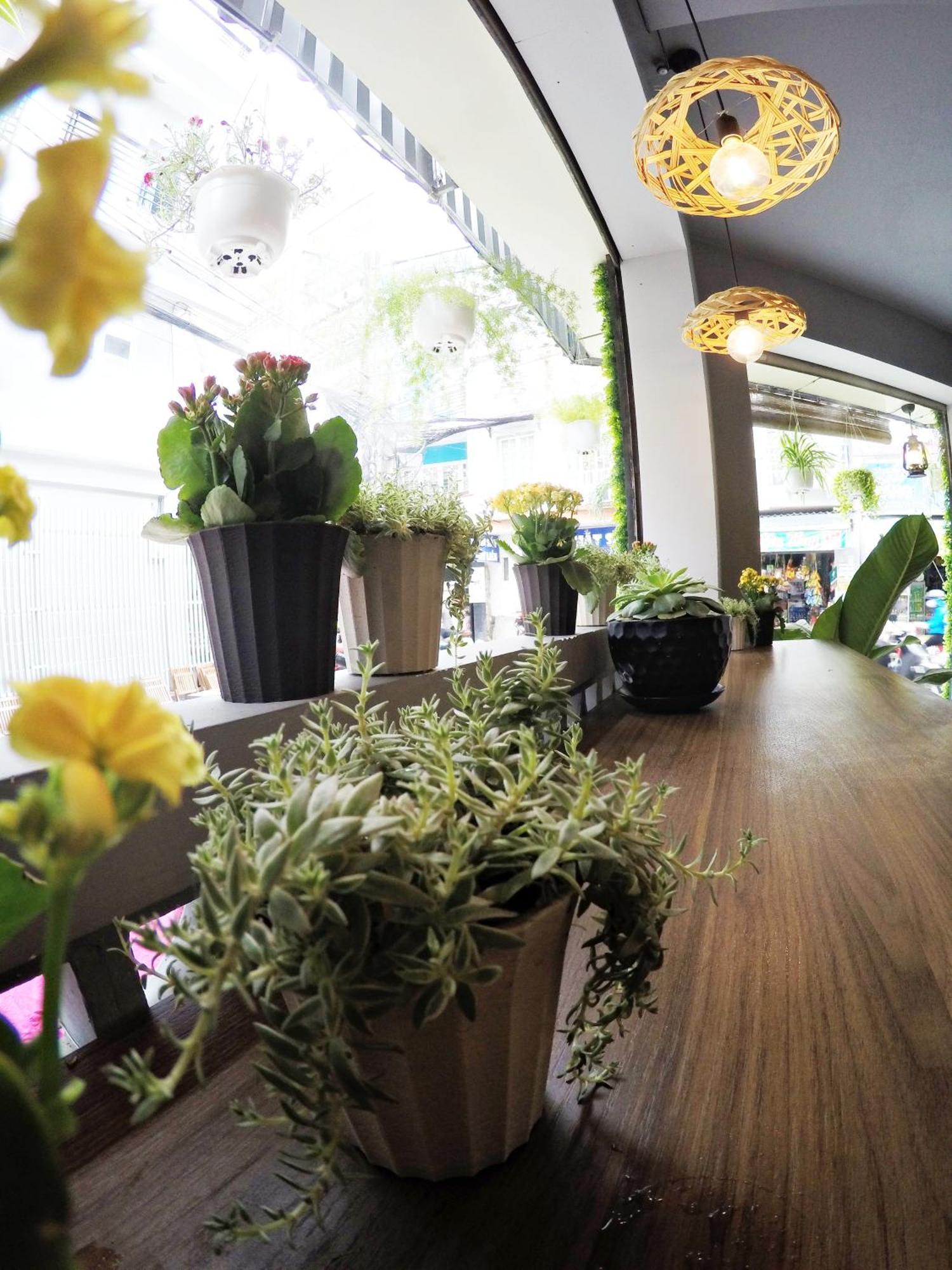 Happy Coffee Guesthouse مدينة هوشي منه المظهر الخارجي الصورة